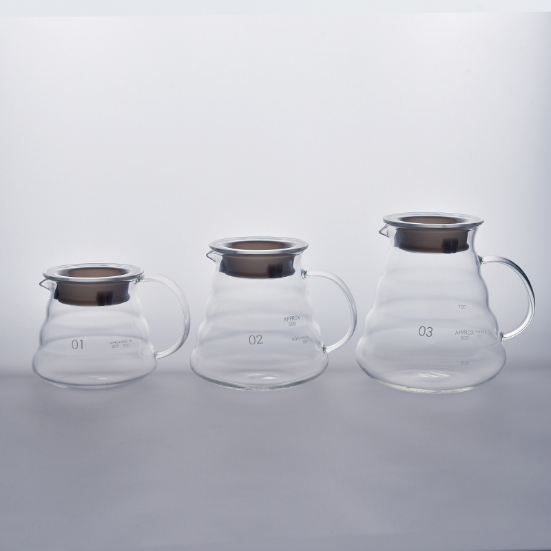 Borosilicate glass mug with handle